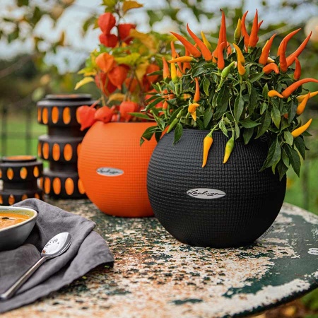 Кашпо Lechuza Puro Color