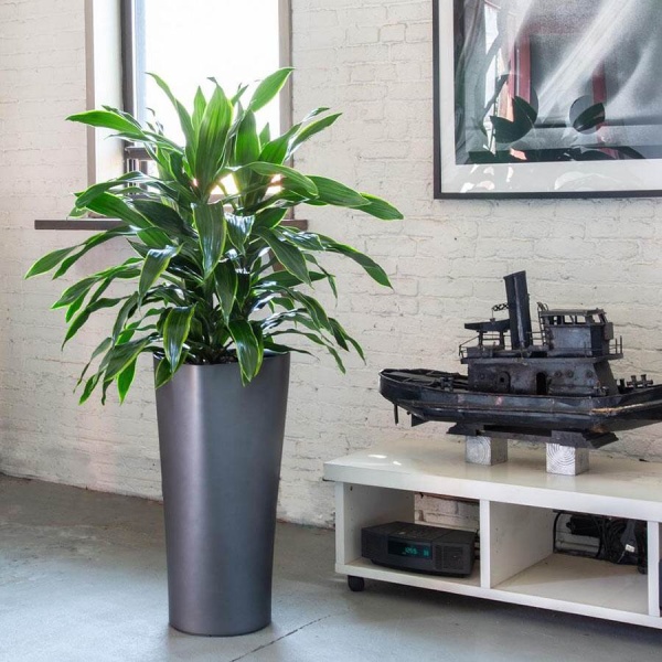 Кашпо Lechuza Delta