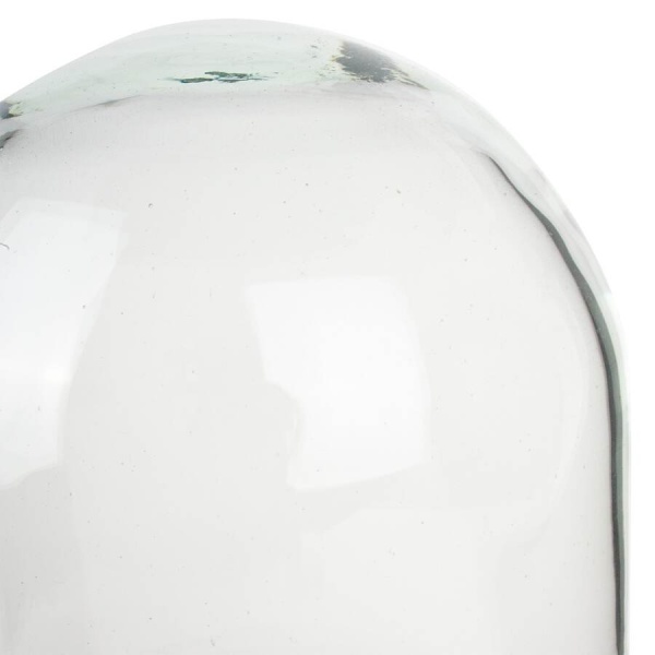 Флорариум стеклянный Колпак Венса-2