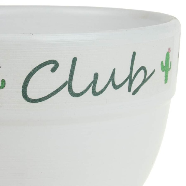 Кашпо White Cactus