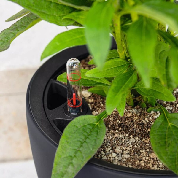 Кашпо Lechuza Classico Color LS