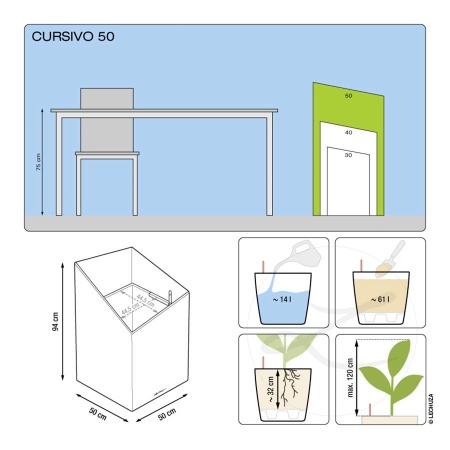 Лечуза Курсиво