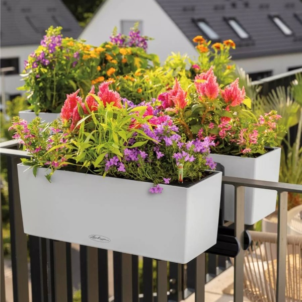 Кашпо Lechuza Balconera Color 100