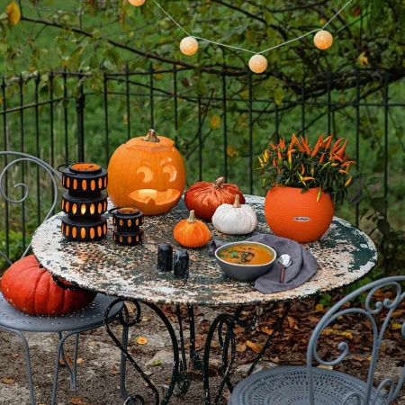 Кашпо Lechuza Puro Color