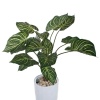 Растение искусственное Калатея в горшке Vase Rib