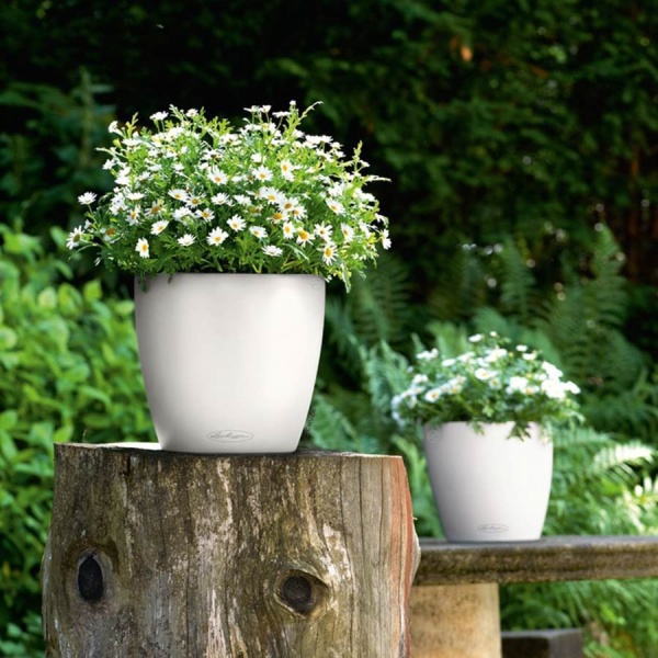 Кашпо Lechuza Classico Color