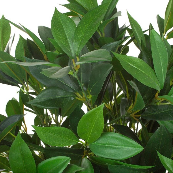 Самшит Балеарский искусственный 