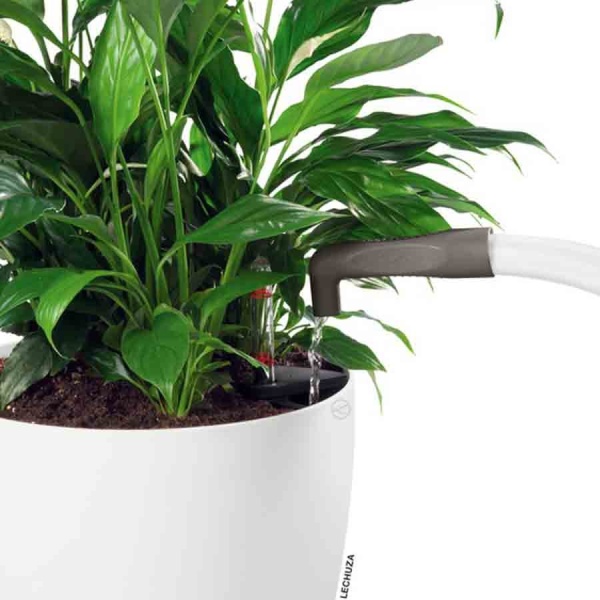 Насадка для лейки Lechuza Pico