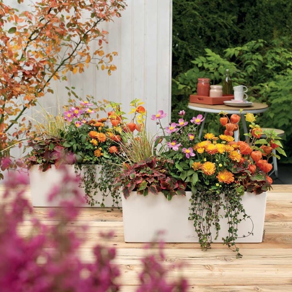 Кашпо Lechuza Balconera Color 50