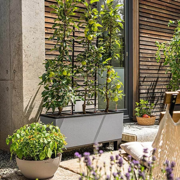 Кашпо Lechuza TRIO Stone