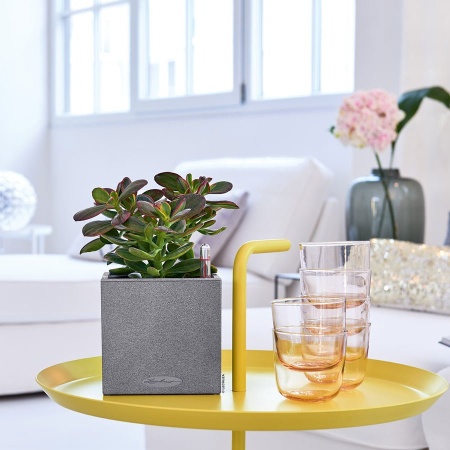 Кашпо Lechuza Canto Stone 14