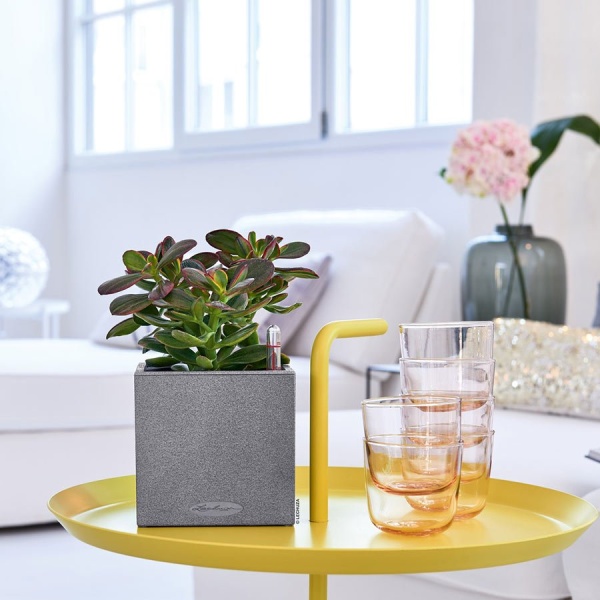 Кашпо Lechuza Canto Stone 14