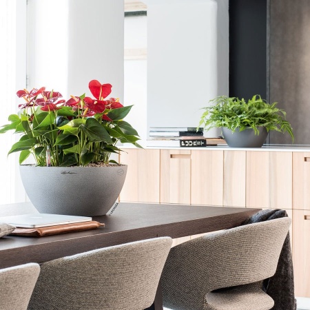 Кашпо Lechuza Cubeto Stone