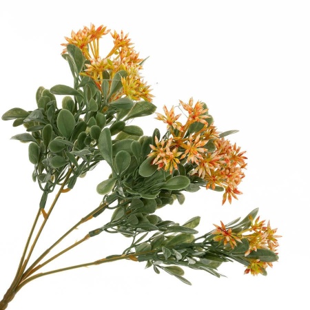 Астра искусственная