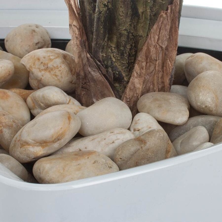 Растение искусственное Калатея в горшке Crater Silk