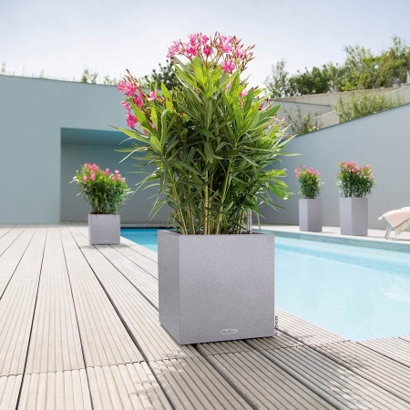 Кашпо Lechuza Canto Stone low
