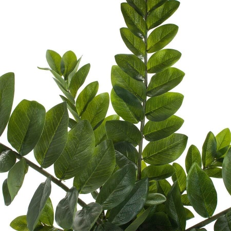 Растение искусственное Замиокулькас в горшке Crater Silk