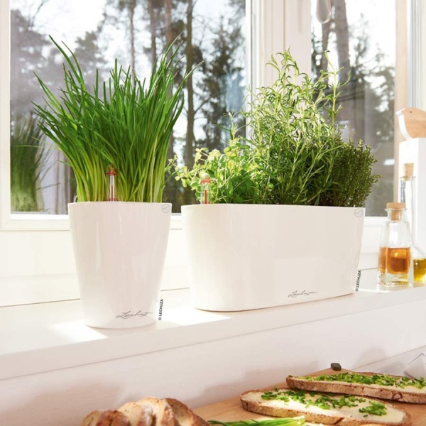 Кашпо Lechuza Delta 10