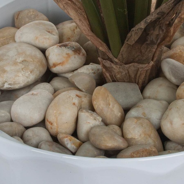 Искусственное растение Алоказия в горшке Vase Rib