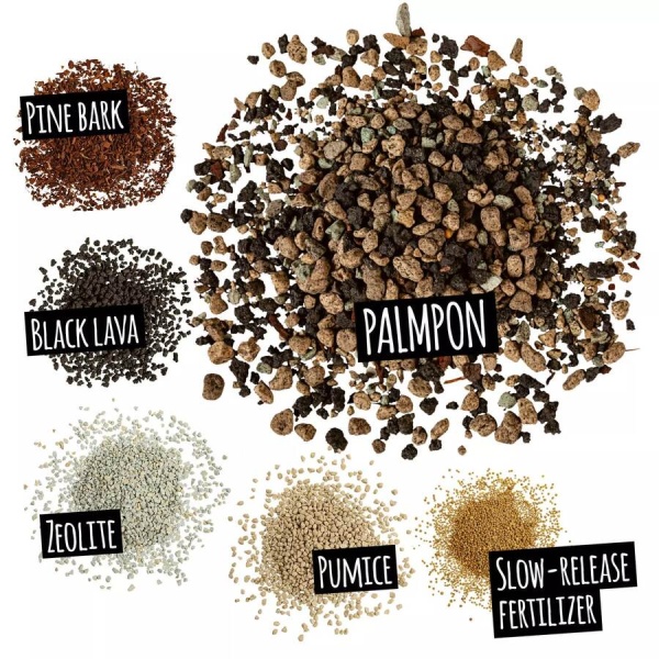 Субстрат Lechuza PALMPON