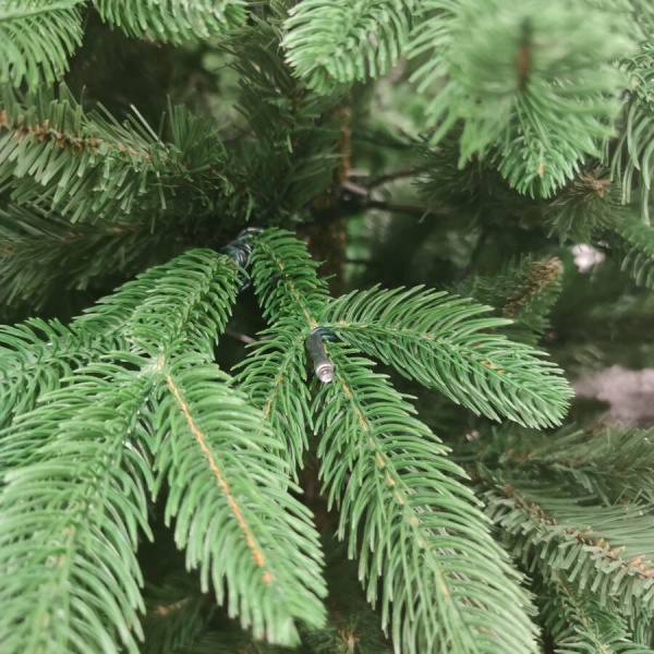 Ель с лампочками Ленинградская