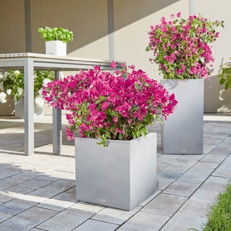 Кашпо Lechuza Canto Stone high
