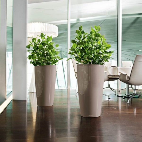 Кашпо Lechuza Rondo