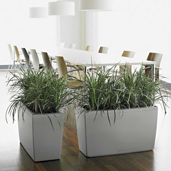 Кашпо Lechuza Cararo