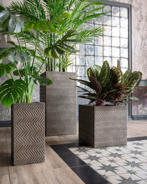 Высокий горшок Fossil wood Column