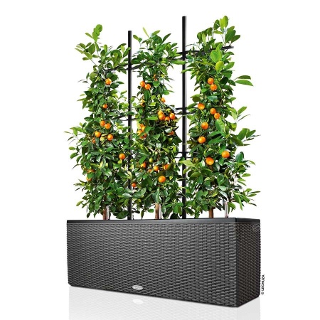 Кашпо Lechuza TRIO Cottage