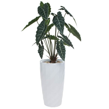Искусственное растение Алоказия в горшке Vase Rib