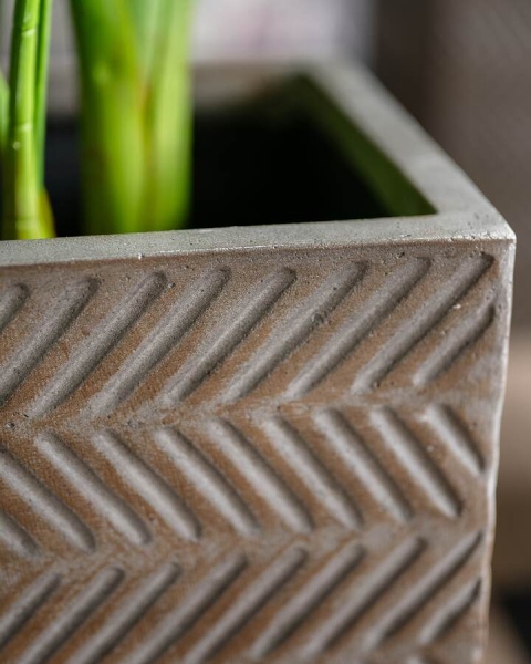 Высокий горшок Fossil wood Column