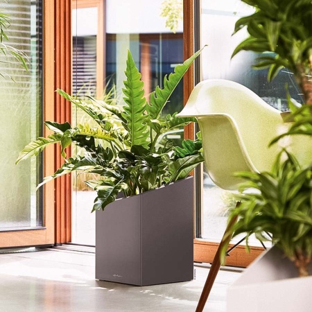 Кашпо Lechuza Cursivo