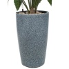 Искусственное растение Алоказия в горшке Vase Stone