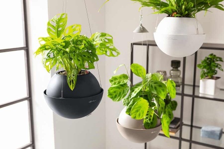 Кашпо Lechuza Bola