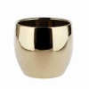 Кашпо Golden Vision
