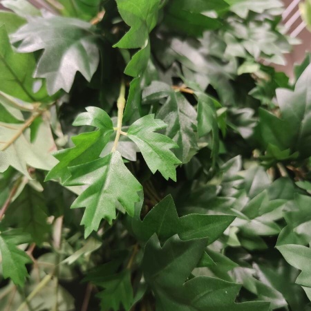 Циссус ампельный искусственный