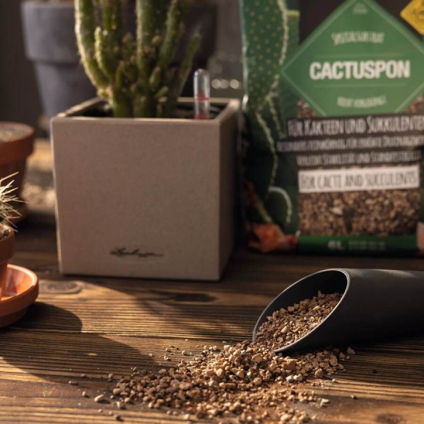 Субстрат Lechuza CACTUSPON