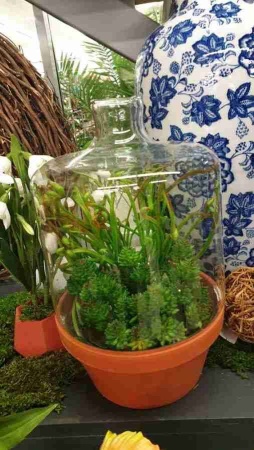 Горшок терракота Gofa