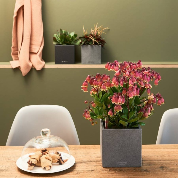 Кашпо Lechuza Canto Stone 14