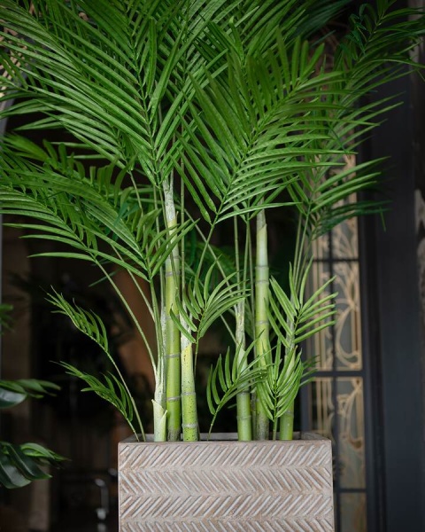 Пальма Арека искусственная