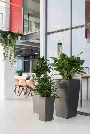 Кашпо Lechuza Cubico Premium