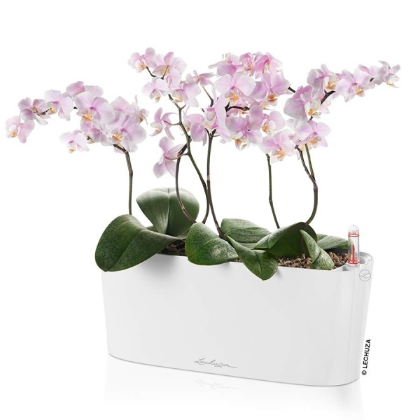 Кашпо Lechuza Delta 10