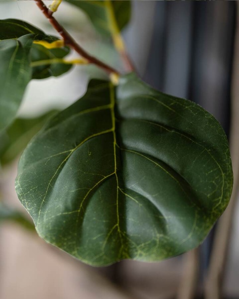 Фикус Лирата искусственный