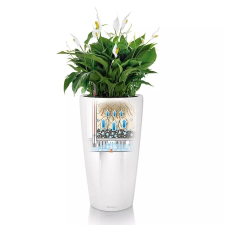 Кашпо Lechuza Rondo matt