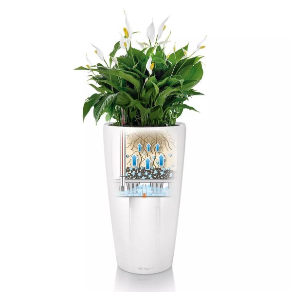 Кашпо Lechuza Rondo matt