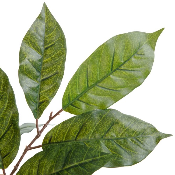 Дерево искусственное Кофе