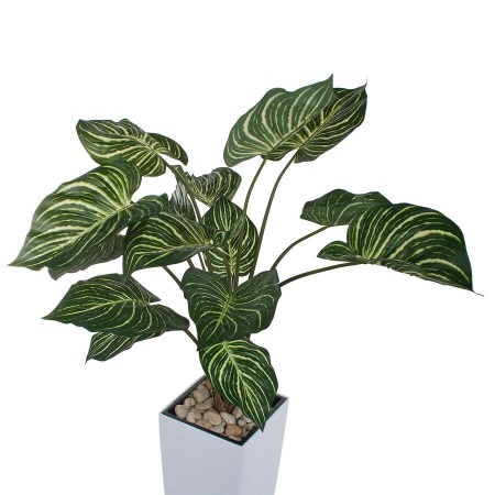 Растение искусственное Калатея в горшке Conic Silk