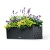 Кашпо Lechuza Balconera Cottage 80