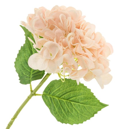 Гортензия искусственная